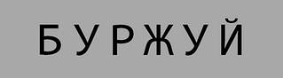 Твердопаливні котли Буржуй