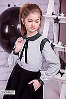 Блузка шкільна для дівчинки в горох бавовняна