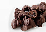 Лінія виробництва чорносливу в шоколадній глазурі 320 мм, фото 3
