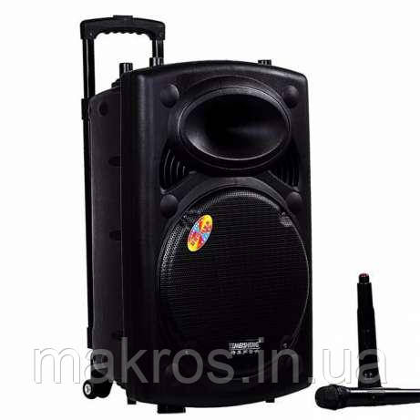 Мобільна акустична система Temeisheng DP 2305F, фото 1