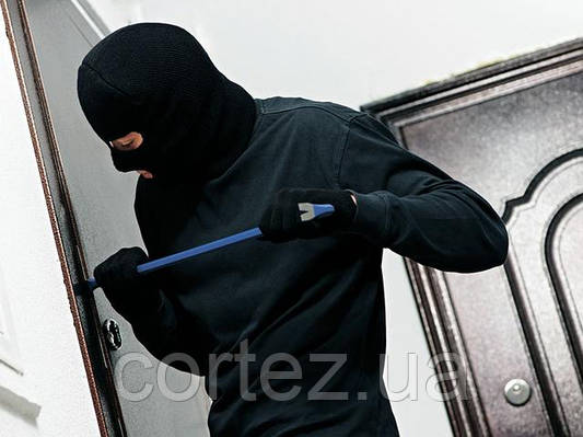 Чому не варто купувати дешеві двері?
