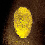 Жовтий флуоресцентний порошок (фарба) ТАТ 33, фото 3