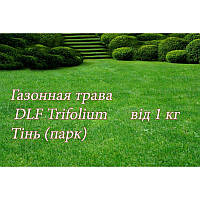 Газонна трава ДЛФ теневая (DLF-TRIFOLIUM UNIVERSAL PARK) , 1 кг