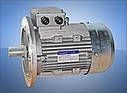 Електродвигун T56B2 0,12 кВт 2800 об./хв., фото 2