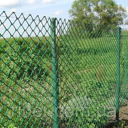 Сітка рабиця в ПВХ 1.2 м 50*50 2.5 мм, фото 1