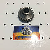 Шестірня приводу оливного насоса Д08-027-Б (ЮМЗ, Д-65) z = 20, фото 2