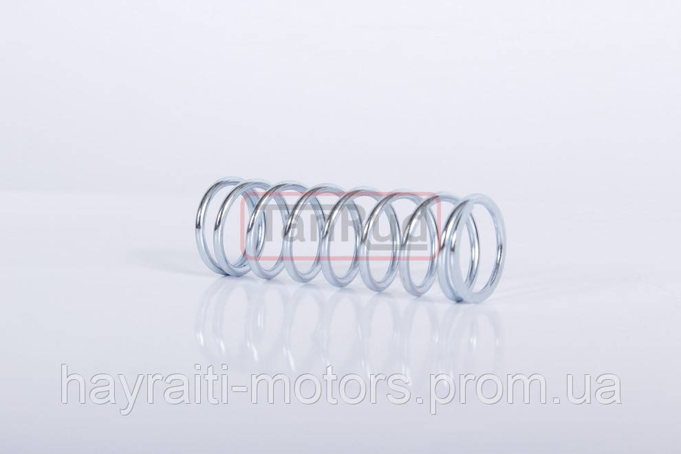 03371876 пружина трубки штовхача Compression spring