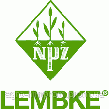 Рапс озимый Шерпа НПЦ Лембке / NPZ Lembke Германия, Среднеранний, фото 3
