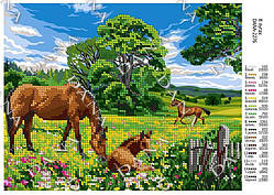 Схема для вишивання бісером А4 формату DANA "На луках" 2276