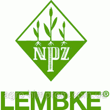 Ріпак озимий ТРУМПФ НВЦ Лембке / NPZ Lembke Німеччина, Середньоранній, фото 2