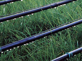 Трубка розвідна ПЕ DRIPLINE EURODRIPE d 16 mm SPC 1.1 mm