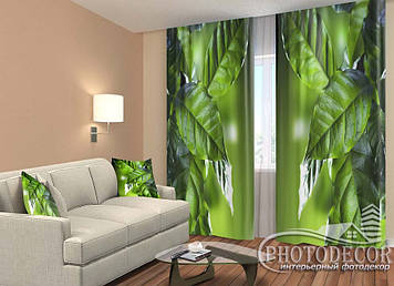 Фото Штори "Листя лимона" 2,5м*2,9м (2 полотна по 1,45м), тасьма