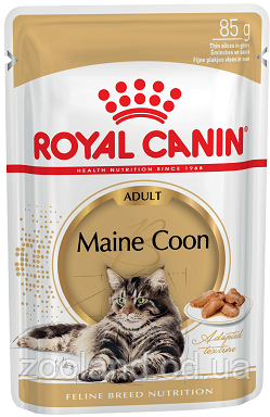 Royal Canin Maine Coon у соусі, 12 шт.