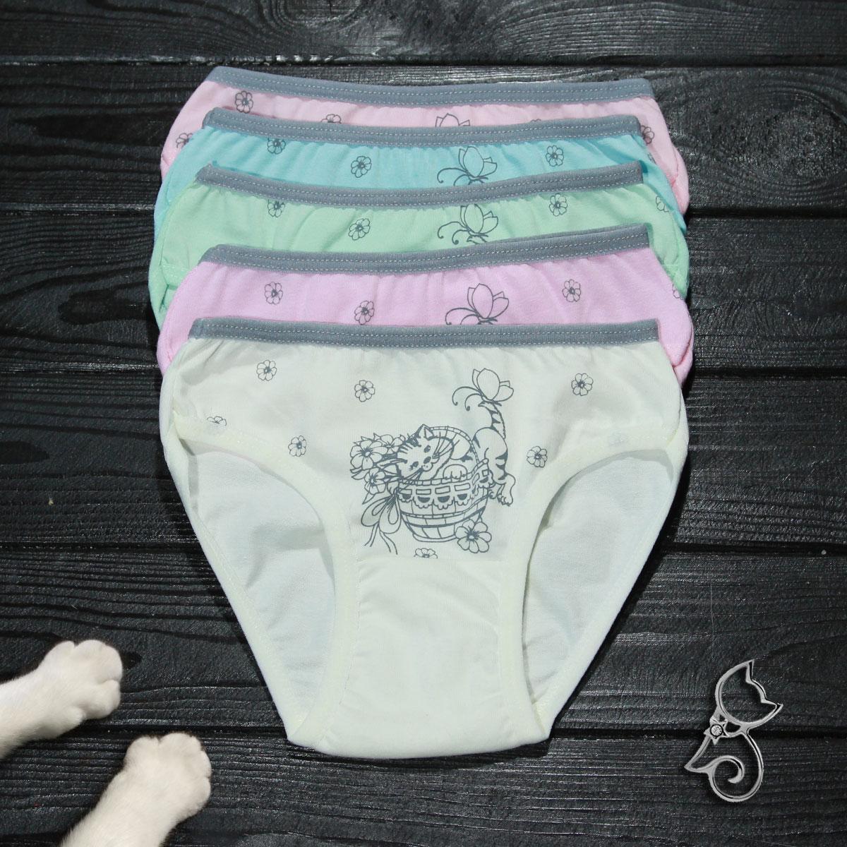 Труси дитячі сліп Nicoletta Туреччина для дівчинки | 5 шт.