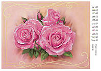 Схема на ткани для вышивки бисером "Нежные розы" 381