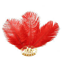Перо страуса, цвет Red, размер 15-20cм*1шт