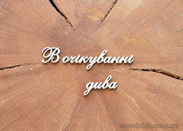 

Чипборд "В очiкуваннi дива"