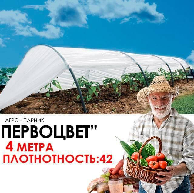 

Парник 4 м 42 щільність (первоцвіт), Белый