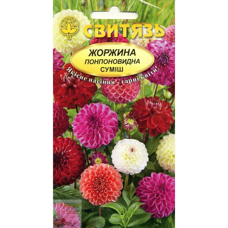 

Семена цветы Георгина помпоновидная смесь, 0,5 г