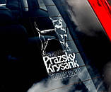 Бражійський щурарик (крисолів) стикер, фото 2