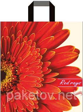 Пакет петля "Гербера" (38х43+3)80 мкм 25шт/упаковка