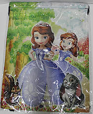 Сумка для зміни Сумка для спортивного одягу Принцеса Софія 430-4, фото 4