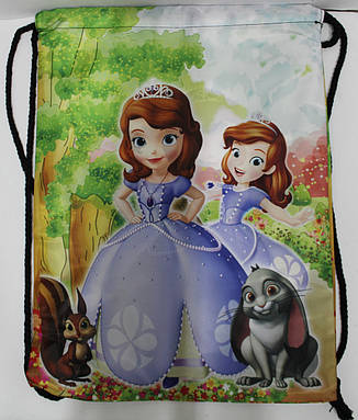 Сумка для зміни Сумка для спортивного одягу Принцеса Софія 430-4, фото 1