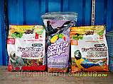 ZuPreem Корм — Гранули (FruitBlend) з природним фруктовим смаком преміум Daily Bird Food — для ари 5.4, фото 6