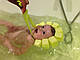 Шапочка для купання немовлят з пінопластом, фото 3