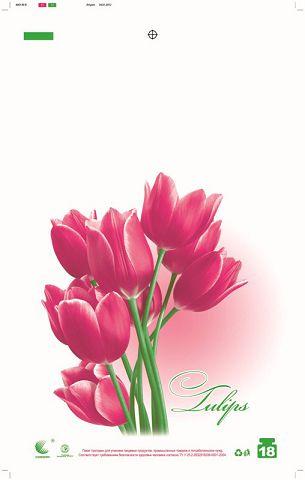 Пакети Майка п/е (29*47) Комсерв "Тюльпан" (250 шт.), фото 1