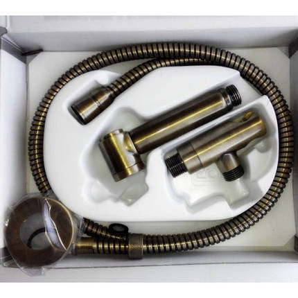 Душовий гарнітур Bossini ALEXA-BRASS C69004B бронза, фото 2
