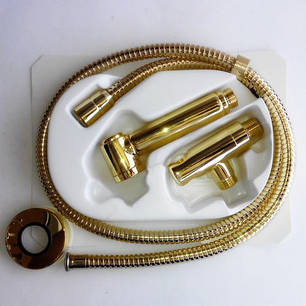 Душовий гарнітур Bossini ALEXA-BRASS C69004B ЗОЛОТО, фото 2