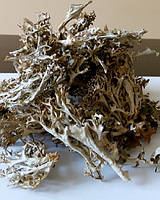 Трава цетрарія ісландський мох від кашлю 1 кг