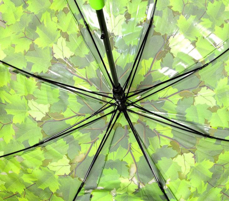 Зонт Для подростка трость полуавтомат Кленовые листья 18-3122-2 - фото 3 - id-p565726250