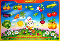 Плакат А2 Овочі ЕУ-П-35