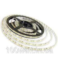 Стрічка світлодіодна MTK-600W3528-12 (7000K~8000K) LED120 2835 9.6w IP20 холодна біла на білій основі 1012095