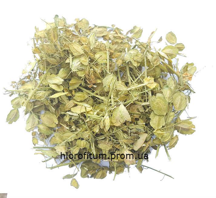 Трава Ярутка Польова, пачка 50 грамів