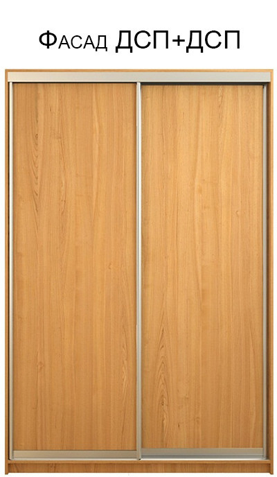 Шкаф-купе 1500х600х2400 Фасад ДСП+ДСП