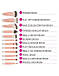 Набір кистей для макіяжу Rosé Romance - 12 Piece Brush Set With Cosmetic Bag BH Cosmetics, фото 5