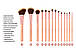 Набір кистей для макияжаВН Chic - 14 Piece Brush Set with Cosmetic Case BH Cosmetics, фото 3