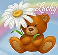 Фабрика зоотоваров и мягких игрушек " Lucky "