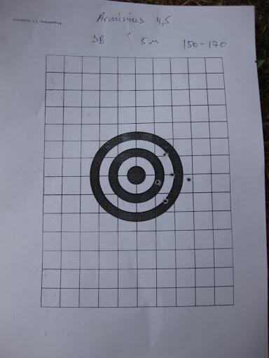 мішень після відстрілу Arminius