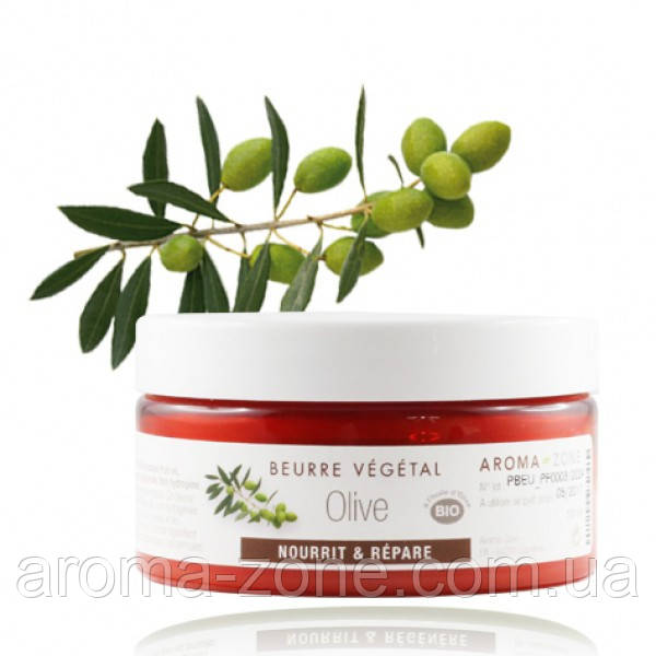 Купить Масло Оливковое , 100 мл., цена 382 ₴ — Prom.ua (ID#566261543)