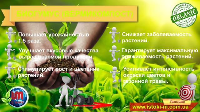 органічне добриво біогумус Вермикомпост_купить биогумус_купить органічне удобрение_купить биогумус_биогумус оптом_производство органічних удобрений_производитель органічних удобрений_производство биогумуса_органическое земледелие_удобрение органическое_органическое добриво для вирощування овощей_органическое добриво для вирощування ягод_органическое добриво для вирощування зелени_органическое добриво для фруктових деревьев_органическое добриво для винограда_удобрение для квітів і кустарников_удобрение для трав'яного газона_органическое добриво для розсади