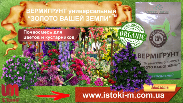 грунт універсальний для квітів і чагарників вермигрунт_почвосмесь для овощей и ягод_почвосмесь для овощей_почвосмесь для газона_почвосмесь для цветов_почвосмесь для кустарников_грунт для овощей_грунт для цветов_грунт для газона_грунт для ягод_вермигрунт универсальный_вермигрунт купить_вермигрунт для рассады_вермигрунт золото вашей земли_вермигрунт отзывы_вермигрунт универсальный состав_органическое удобрение_органические удобрения купить_огранические удобрения_виды органических удобрений_характеристика органических удобрений_применение органических удобрений_производство органических удобрений_органические удобрения их виды и характеристика_органические удобрения растений_органические удобрения для огорода_использование органических удобрений_органическое_удобрения органические_органические удобрения отзывы_активное органическое удобрение_внесение органических удобрений в почву_органические удобрения для рассады_удобрения органические цена_купить удобрение_удобрение применение_удобрение опт_удобрение производитель_удобрение цена_грунт для зимнего сада_органический грунт для зимнего сада_органическое удобрение для зимнего сада_органическое удобрение для цветов и кустарников_органическое удобрение для пальм_органическое удобрение для кустов_органическое удобрение для домашних цветов_органическое удобрение для комнатных цветов