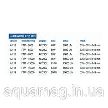 Насос AquaKing FTP2-6500 ECO (Помпа для водойми, водоспади, фонтани, узв, каскади, струмки), фото 5