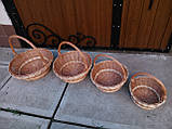Комплект із 4 кошиків "Круги" No2, фото 5