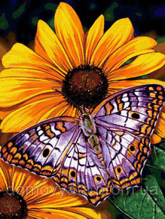 Набір алмазної мозаїки "Метелик на квітах", фото 2