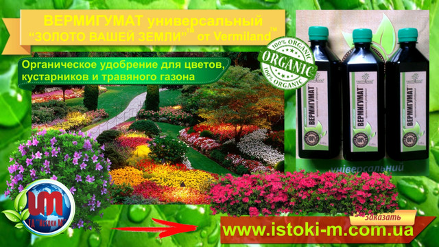добриво для газону цветов_кустарников_травяного вермигрунт_вермигрунт универсальный_вермигрунт купить_вермигрунт для рассады_вермигрунт золото вашей земли_вермигрунт отзывы_вермигрунт универсальный состав_органическое удобрение_органические удобрения купить_огранические удобрения_органическое удобрение 5 букв_виды органических удобрений_характеристика органических удобрений_применение органических удобрений_производство органических удобрений_органические удобрения их виды и характеристика_органические удобрения растений_органические удобрения для огорода_использование органических удобрений_органическое удобрение 5 букв сканворд_удобрения органические_органические удобрения отзывы_активное органическое удобрение_внесение органических удобрений в почву_органические удобрения для рассады_удобрения органические цена_купить удобрение_удобрение применение_удобрение опт_удобрение производитель_удобрение цена_грунт для зимнего сада_органический грунт для зимнего сада_органическое удобрение для зимнего сада_органическое удобрение для цветов и кустарников_органическое удобрение для пальм_органическое удобрение для кустов_органическое удобрение для домашних цветов_органическое удобрение для комнантных цветов_вермигумат_органическое удобрение вермигумат_органическое удобрение для подкормки томатов_органическое удобрение для подкормки помидор_удобрение для подкормки рассады помидор_жидкое органическое удобрение для подкормки томатов_жидкое органическое удобрение для подкормки помидор_органическое удобрение для подкормки огурцов_удобрение для подкормки рассады огурцов_жидкое органическое удобрение для подкормки огурцов_органическое удобрение для подкормки перца_удобрение для подкормки рассады перца_жидкое органическое удобрение для подкормки перца_органическое удобрение для подкормки баклажан_удобрение для подкормки рассады баклажан_жидкое органическое удобрение для подкормки баклажан_органическое удобрение для подкормки капусты_удобрение для подкормки рассады капусты_жидкое органическое удобрение для подкормки капусты_органическое удобрение для подкормки зелени_удобрение для подкормки рассады зелени_жидкое органическое удобрение для подкормки зелени_органическое удобрение для подкормки клубники_удобрение для подкормки рассады клубники_жидкое органическое удобрение для подкормки клубники_органическое удобрение для подкормки малины_удобрение для подкормки рассады малины_жидкое органическое удобрение для подкормки малины_органическое удобрение для подкормки голубики_удобрение для подкормки голубики_жидкое органическое удобрение для подкормки голубики_органическое удобрение для подкормки ежевики_удобрение для подкормки ежевики_жидкое органическое удобрение для подкормки ежевики_органическое удобрение для подкормки смородины_удобрение для подкормки смородины_жидкое органическое удобрение для подкормки смородины_ органическое удобрение для подкормки крыжовника_удобрение для подкормки крыжовника_жидкое органическое удобрение для подкормки крыжовника_ органическое удобрение для подкормки фруктовых деревьев_удобрение для подкормки фруктовых деревьев_жидкое органическое удобрение для подкормки фруктовых деревьев_органическое удобрение для подкормки винограда_удобрение для подкормки винограда_жидкое органическое удобрение для подкормки винограда_органическое удобрение для подкормки чеснока_удобрение для подкормки чеснока_жидкое органическое удобрение для подкормки чеснока