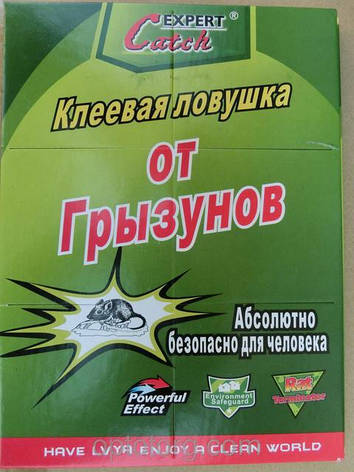Клейова пастка від щурів і мишей 21x32 см 16077, фото 1